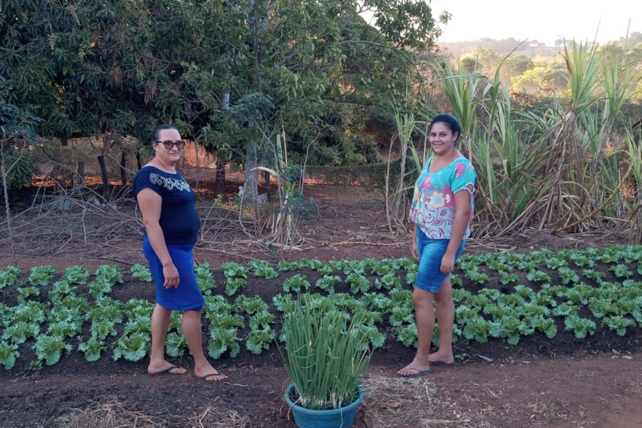 Agricultores familiares melhoram estrutura das propriedades com fomento produtivo do Agro é Social