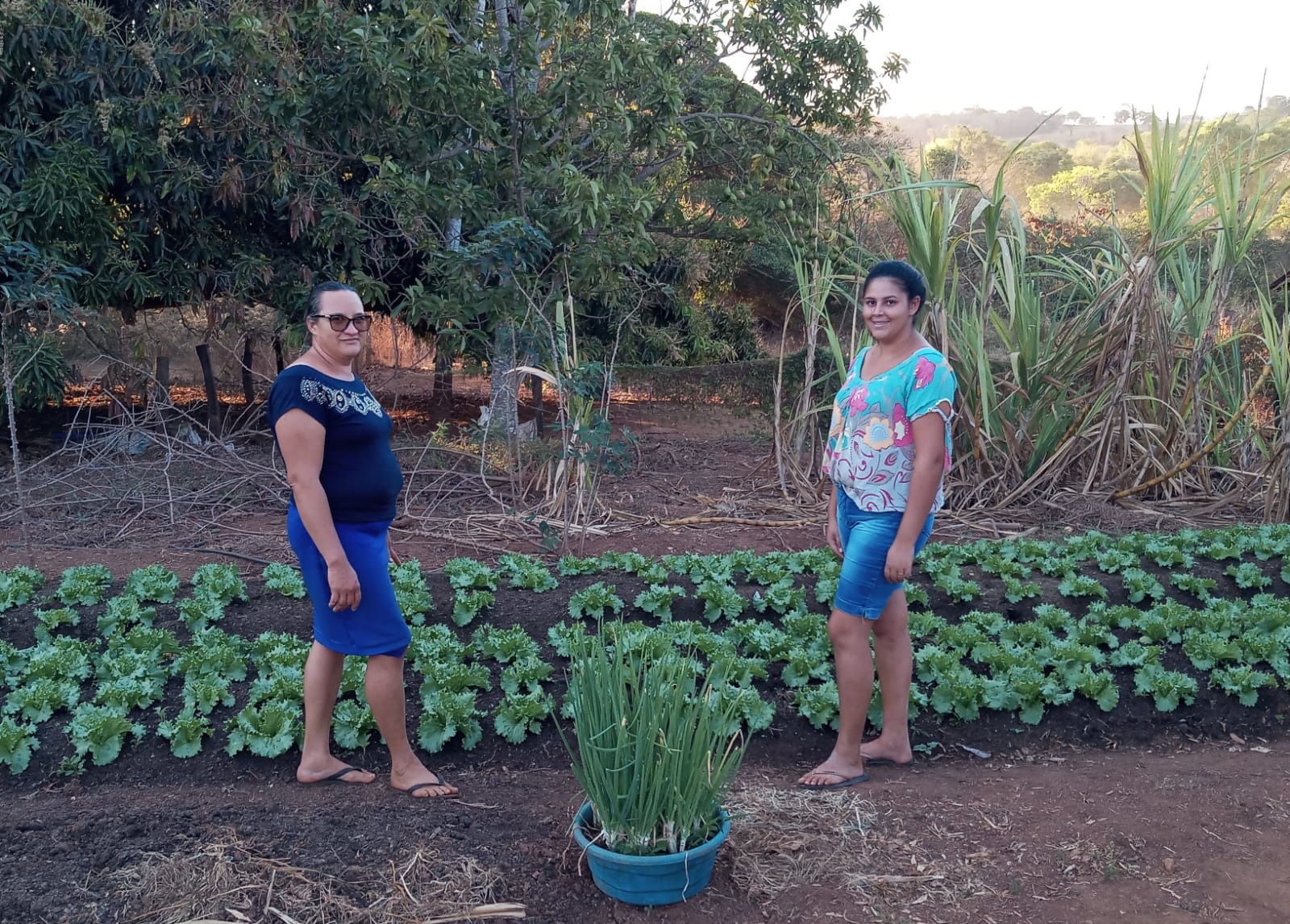 Agricultores familiares melhoram estrutura das propriedades com fomento produtivo do Agro é Social