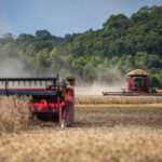 Agropecuária goiana registra criação de 9,1 empregos formais de janeiro a agosto