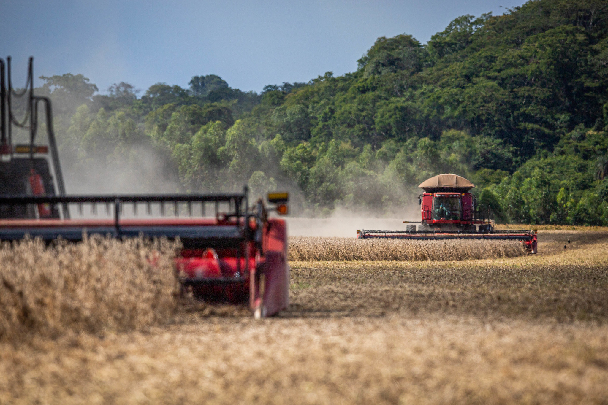 Agropecuária goiana registra criação de 9,1 empregos formais de janeiro a agosto