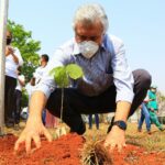 No Dia da Árvore, Caiado planta ipê e lança Movimento Goiás pelo Cerrado