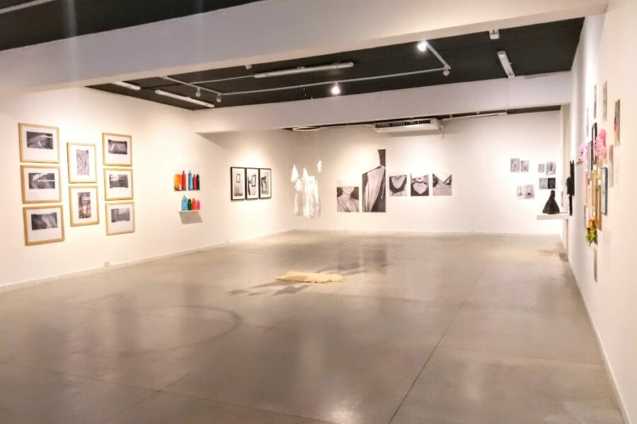 Galeria Antônio Sibasolly e Museu de Artes Plásticas de Anápolis lançam exposições