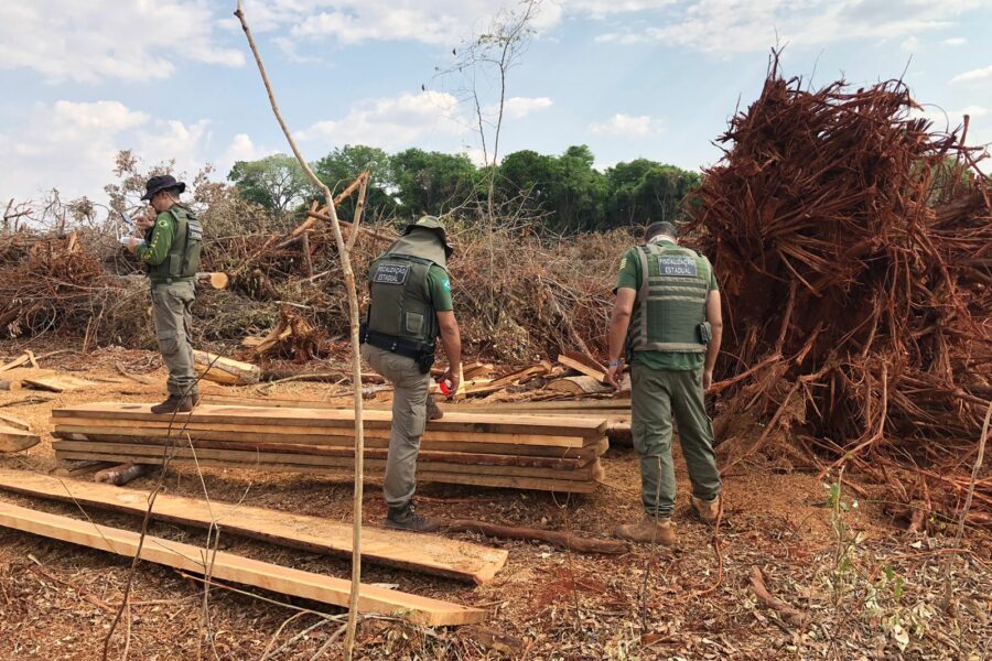 Semad interrompe desmatamento de árvores raras do Cerrado em Itaguari