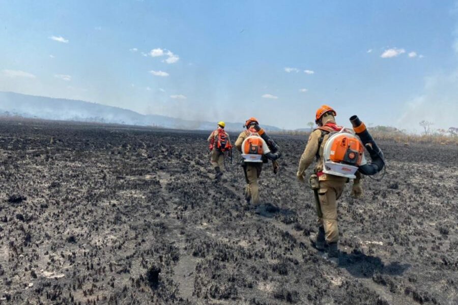 Goiás apresenta ações de enfrentamento às mudanças climáticas