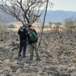 Polícia abre inquéritos para apurar incêndios na Chapada dos Veadeiros