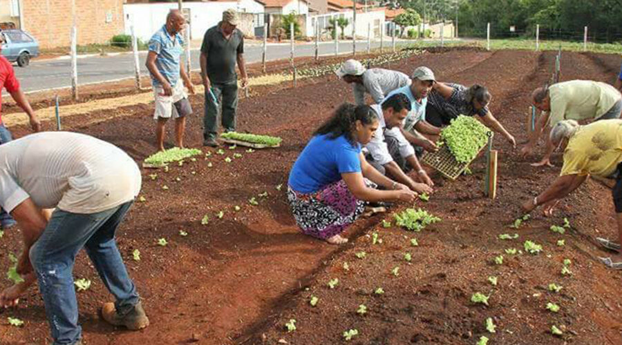 Caiado sanciona lei que institui programa de incentivo a hortas comunitárias