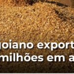 Agro goiano exporta US$ 564,4 milhões em agosto