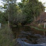 Produtores discutem gestão das águas nas bacias do Ribeirão Piancó e do João Leite