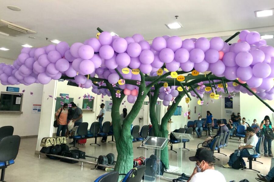 Profissionais do Hugo recebem orientações na Semana Mundial de Cuidados Paliativos