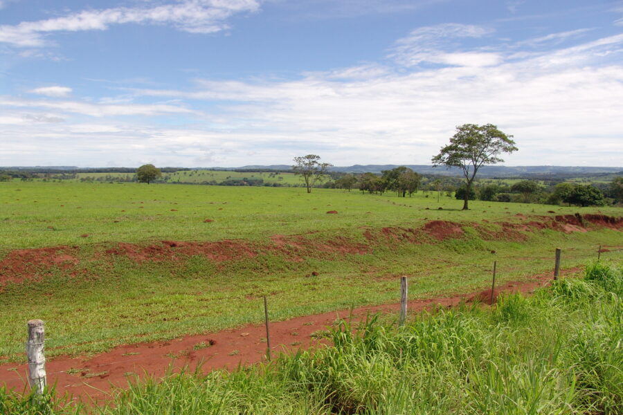 Emater e ABCZ firmam parceria em programa de recuperação de pastagens