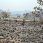 Polícia indicia 4 por incêndios na Chapada dos Veadeiros