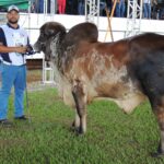 Governo de Goiás participa da abertura da 58º Exposição Agropecuária de Goiânia