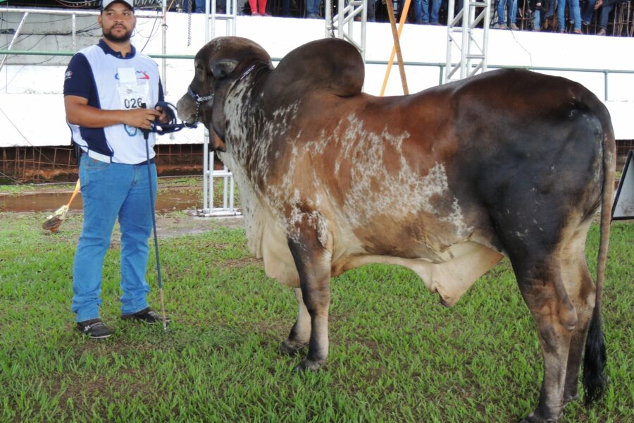 Governo de Goiás participa da abertura da 58º Exposição Agropecuária de Goiânia
