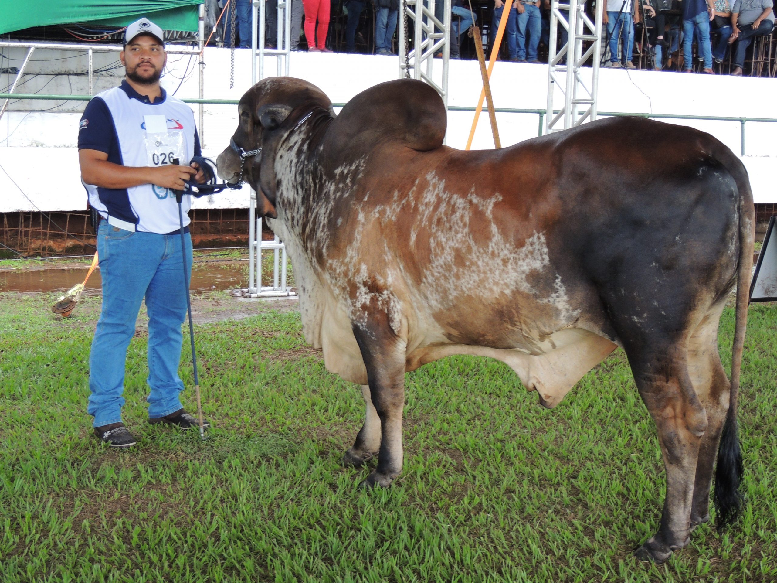 Governo de Goiás participa da abertura da 58º Exposição Agropecuária de Goiânia