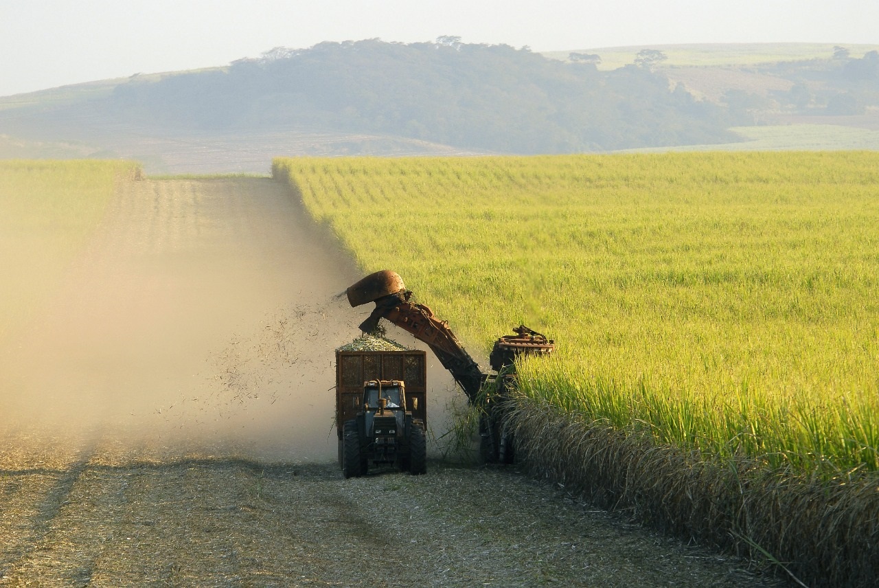 VBP Agropecuário de Goiás deve chegar a R$ 95 bilhões em 2021