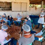 GoiásFomento capacita servidores para atendimento do Mais Crédito