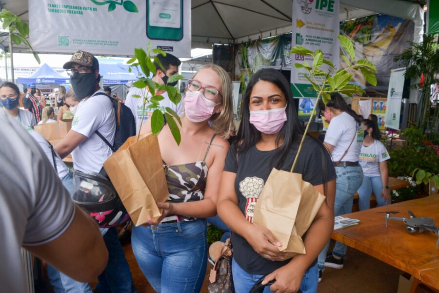 Meio Ambiente distribuiu 2 mil mudas nativas do Cerrado