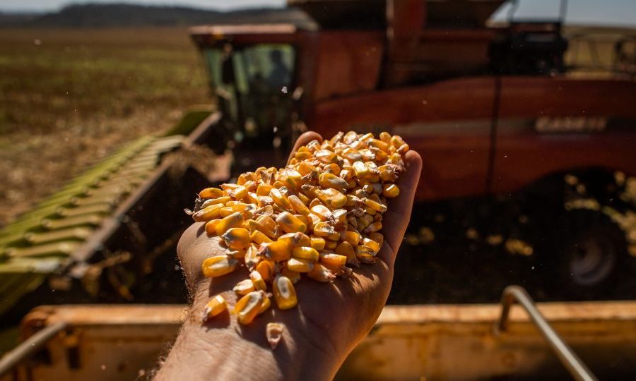 Goiás tem salto de 21% na produção de grãos