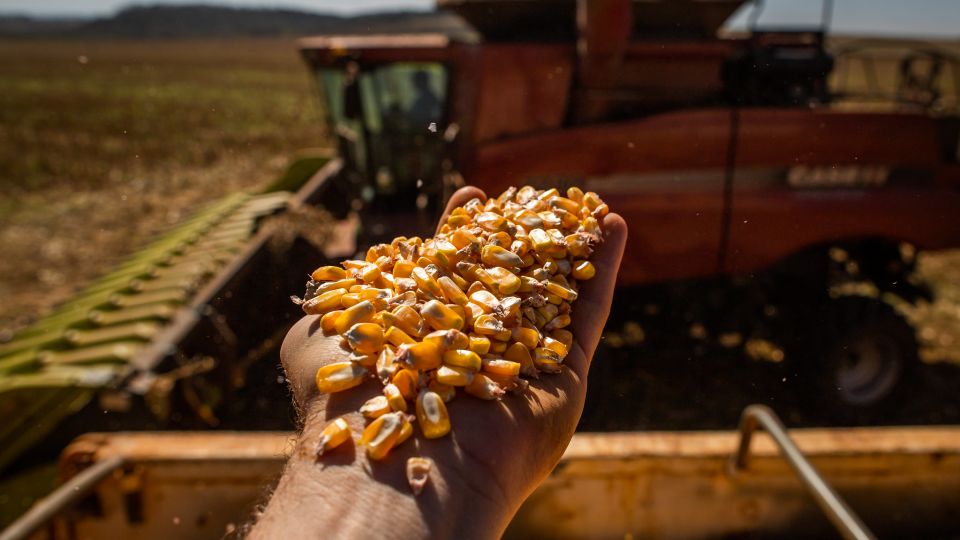 Goiás tem salto de 21% na produção de grãos