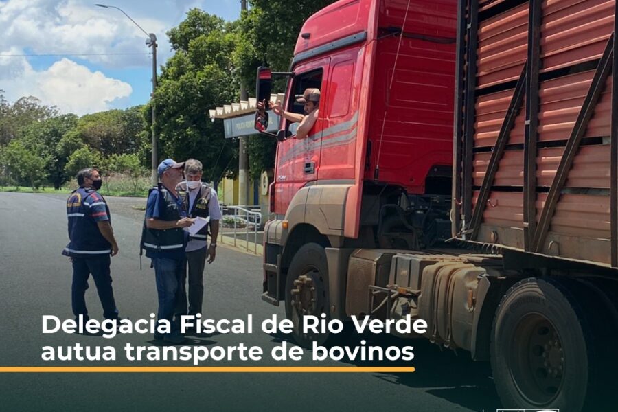 DRF de Rio Verde flagra transporte irregular de bovinos