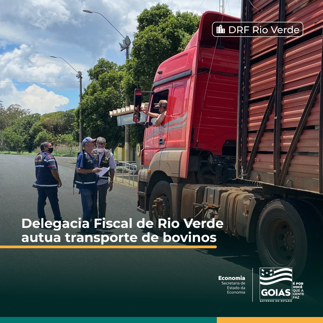 DRF de Rio Verde flagra transporte irregular de bovinos