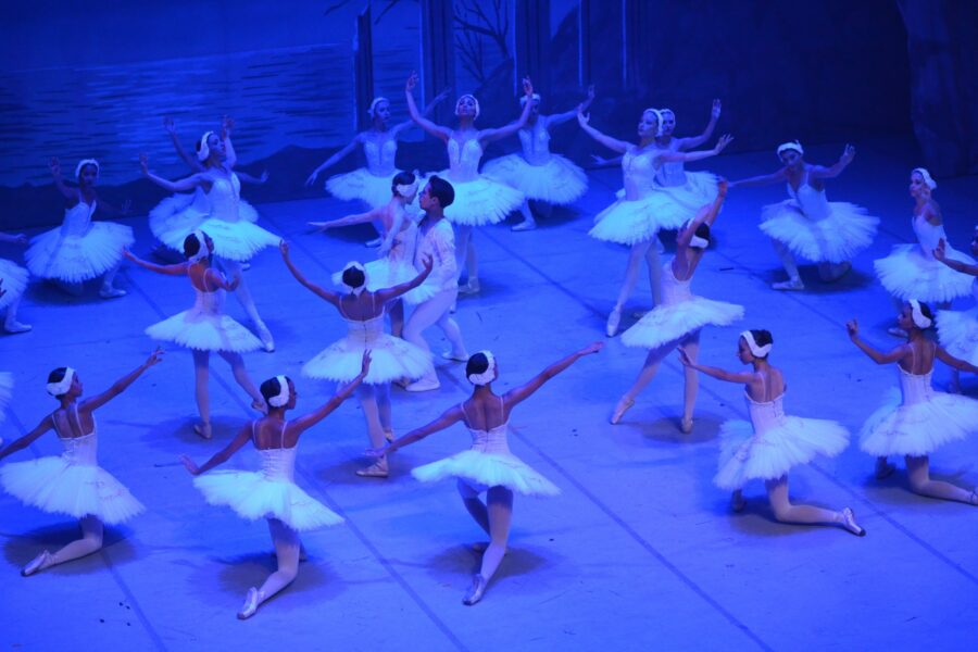 Lago dos Cisnes é apresentado em Goiânia