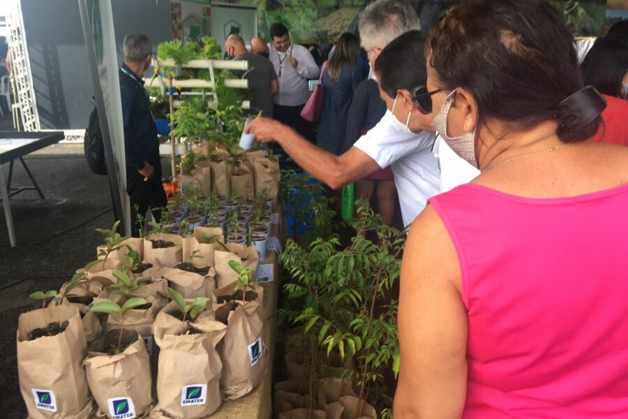 Seapa, Ceasa, Emater e Agrodefesa vão atuar no Mutirão Iris Rezende