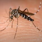 Governo de Goiás intensifica combate ao ‘Aedes aegypti’