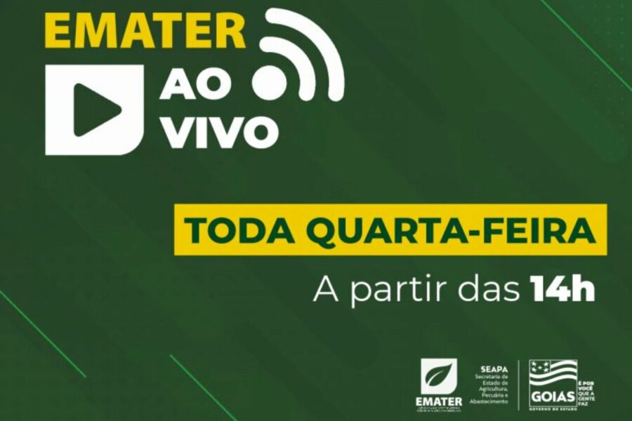 Emater transmite live sobre impacto dos nematoides na agricultura familiar