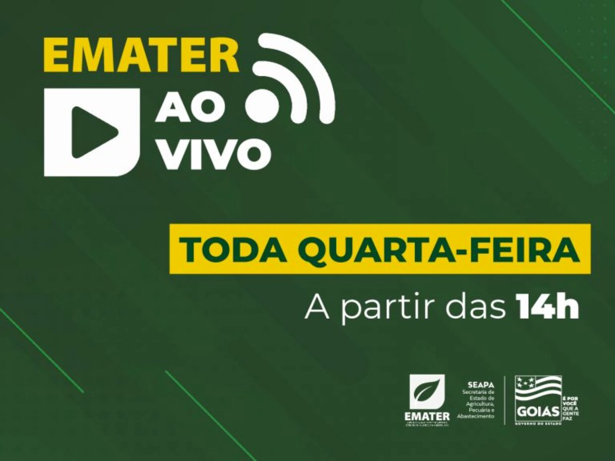 Emater transmite live sobre impacto dos nematoides na agricultura familiar