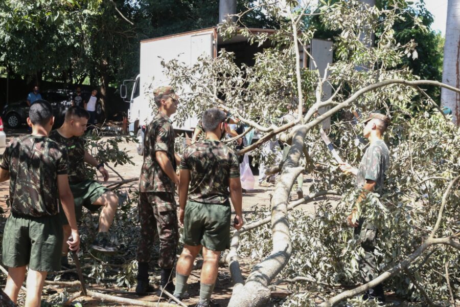 Exército ajuda no combate à dengue na Secretaria da Economia