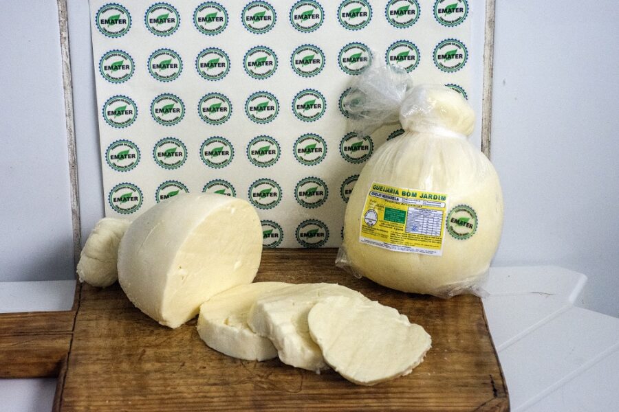 Emater celebra reta final de concessão da Indicação Geográfica ao queijo cabacinha