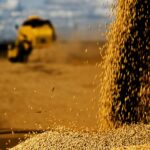 Primeiro Agro em Dados de 2022 destaca crescimento das exportações