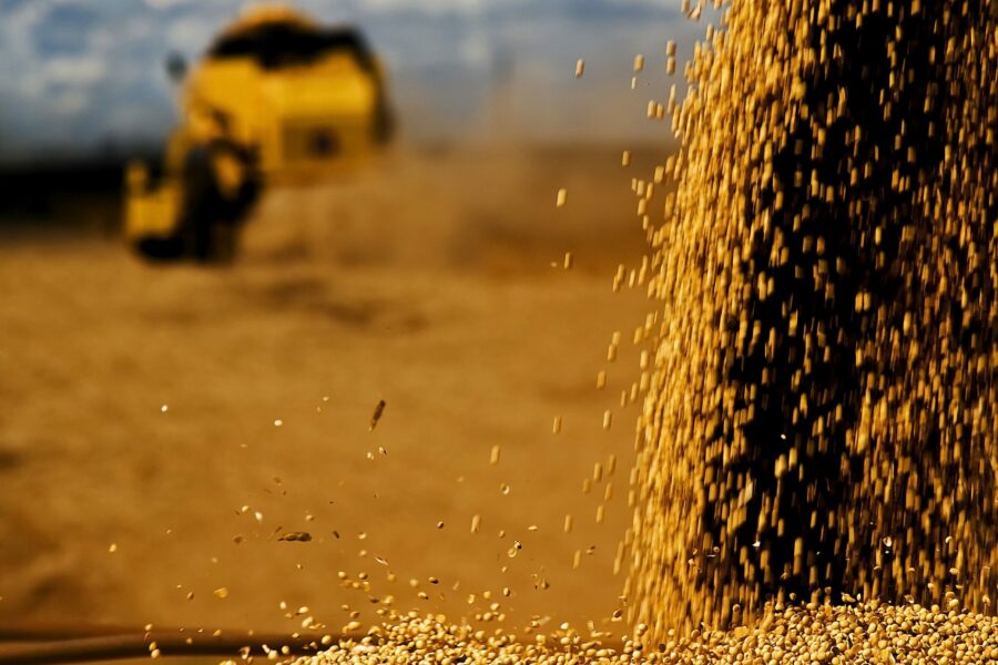 Primeiro Agro em Dados de 2022 destaca crescimento das exportações