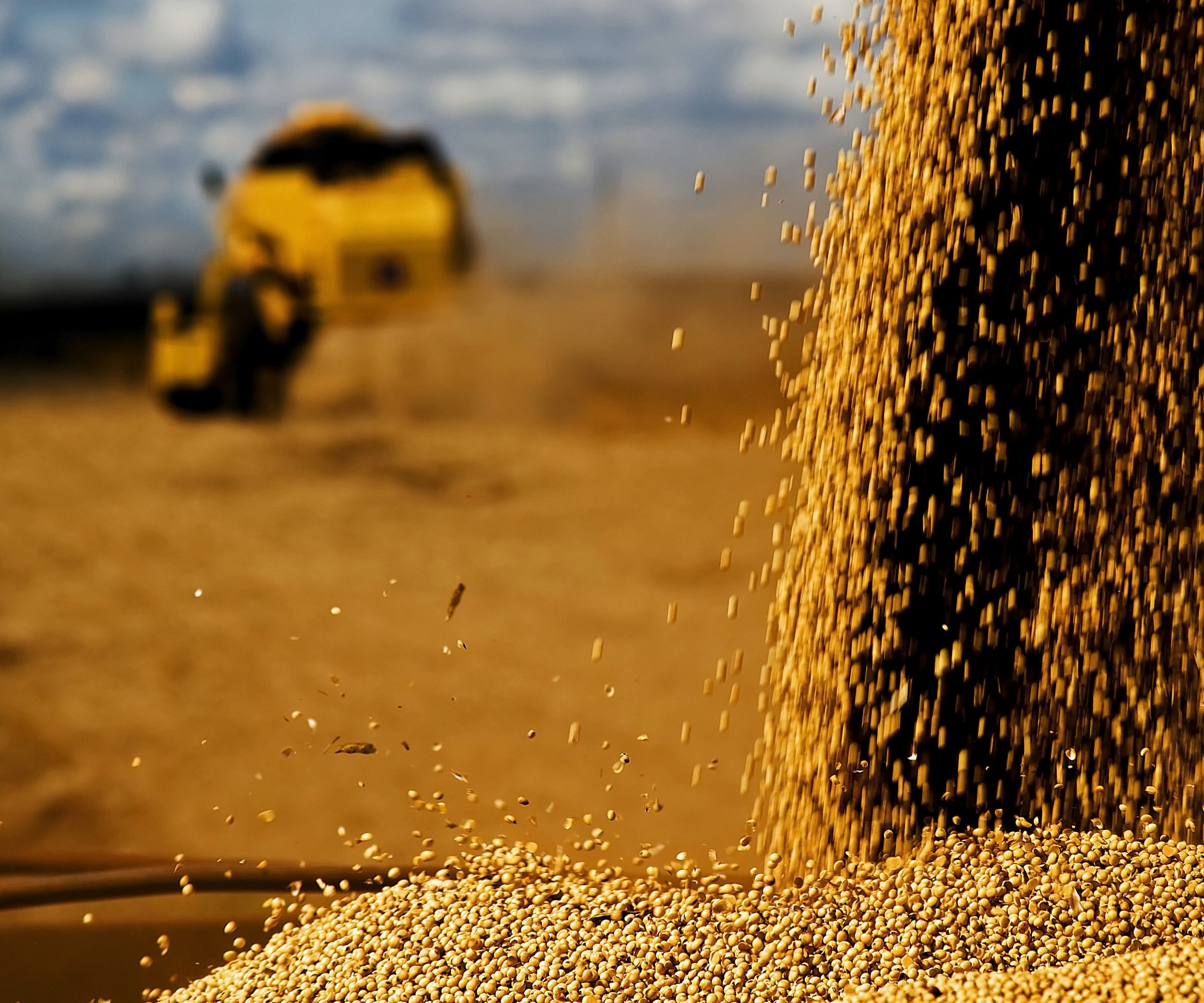 Primeiro Agro em Dados de 2022 destaca crescimento das exportações