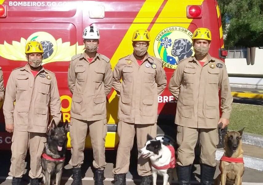 Governo envia bombeiros para auxiliarem nos trabalhos de resgate em Petrópolis RJ