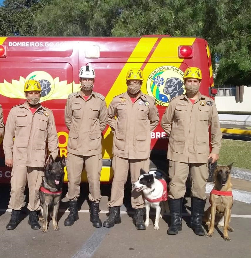 Governo envia bombeiros para auxiliarem nos trabalhos de resgate em Petrópolis RJ