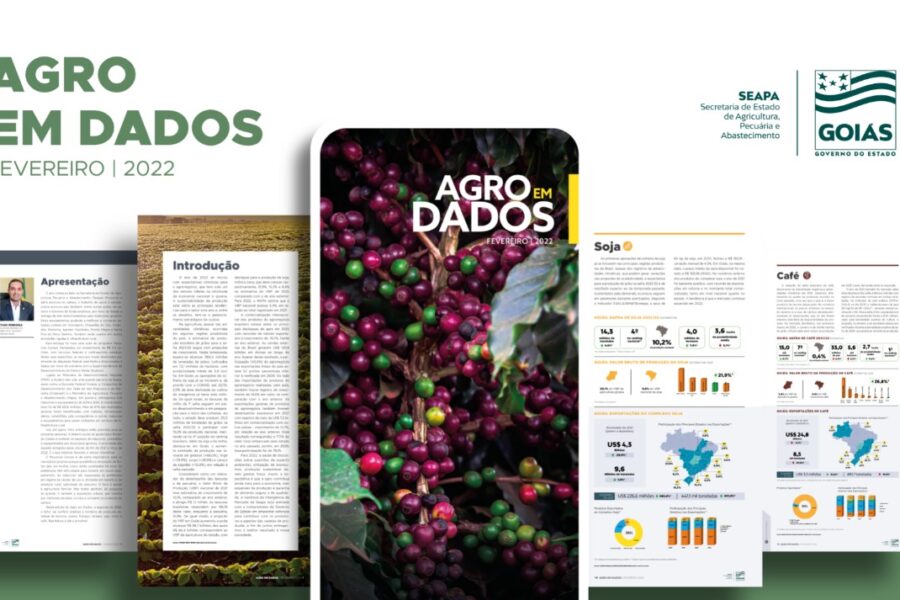 Produção de café deve aumentar 6,7% na safra 2021/2022, em Goiás