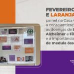 Casa Civil traz Fevereiro Roxo e Laranja como temas do mês no painel de informações