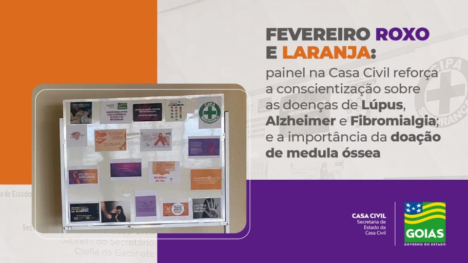 Casa Civil traz Fevereiro Roxo e Laranja como temas do mês no painel de informações