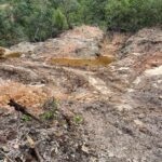 Polícia investiga crime ambiental em Niquelândia