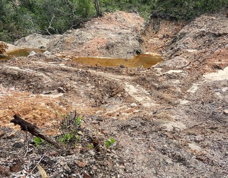 Polícia investiga crime ambiental em Niquelândia