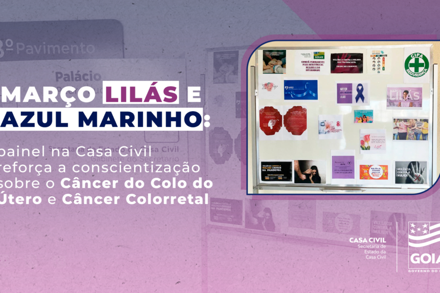Painel de informações da Casa Civil traz como tema Março Lilás e Azul Marinho
