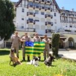 Bombeiros goianos que atuaram na tragédia em Petrópolis retornam a Goiás