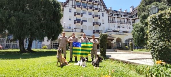 Bombeiros goianos que atuaram na tragédia em Petrópolis retornam a Goiás