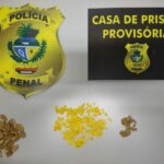 Mais de 600 porções de droga são apreendidas na CPP de Aparecida de Goiânia