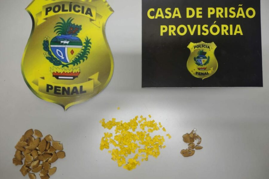 Mais de 600 porções de droga são apreendidas na CPP de Aparecida de Goiânia