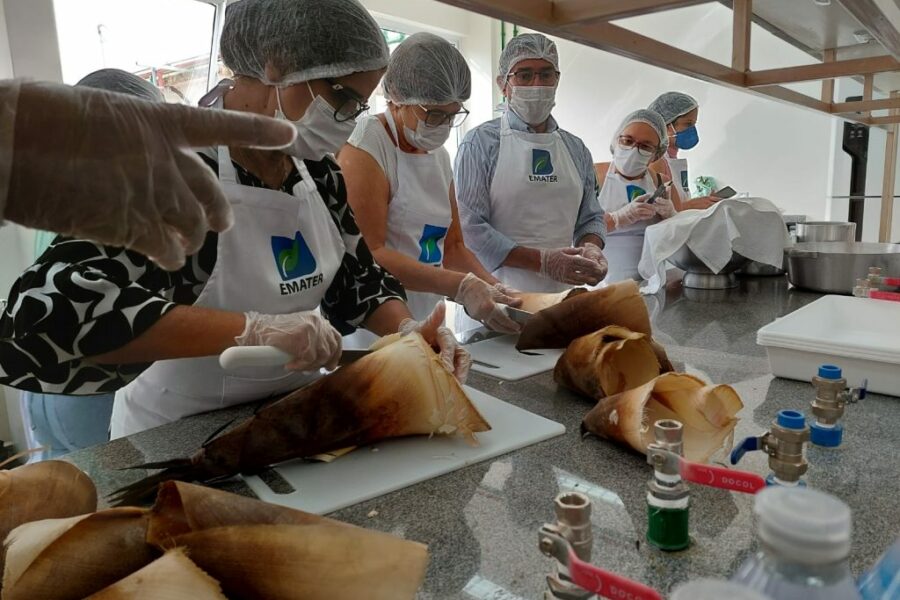 Emater capacita extensionistas em oficina de conserva de broto de bambu