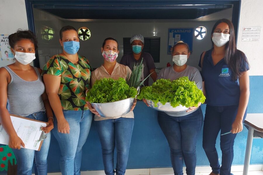 Emater distribui alimentos de horta comunitária a famílias vulneráveis em Mozarlândia