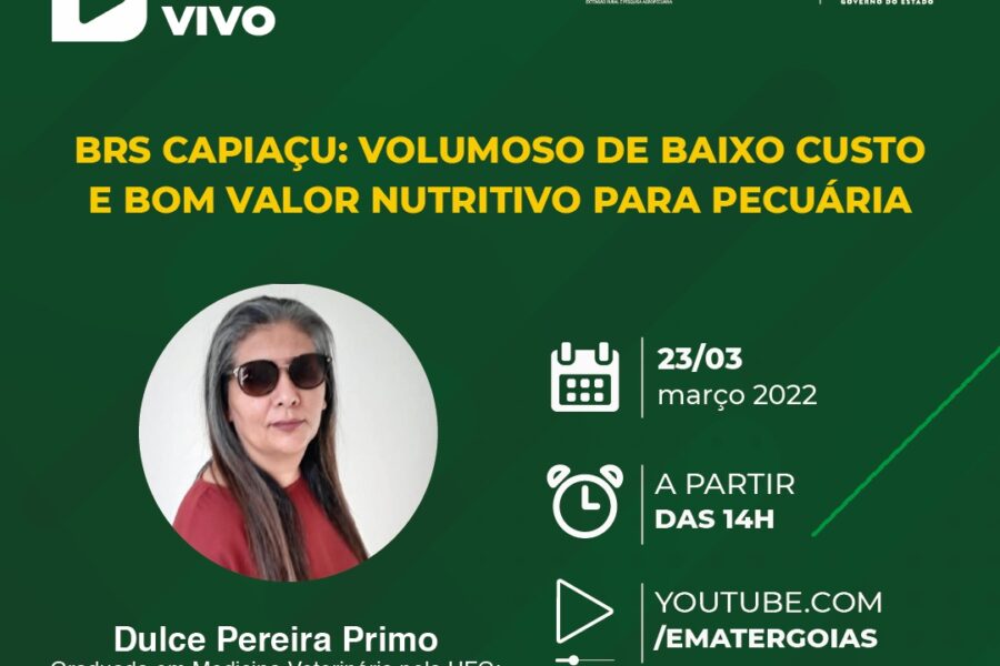 Emater transmite live sobre BRS Capiaçu e seus benefícios para pecuária leiteira